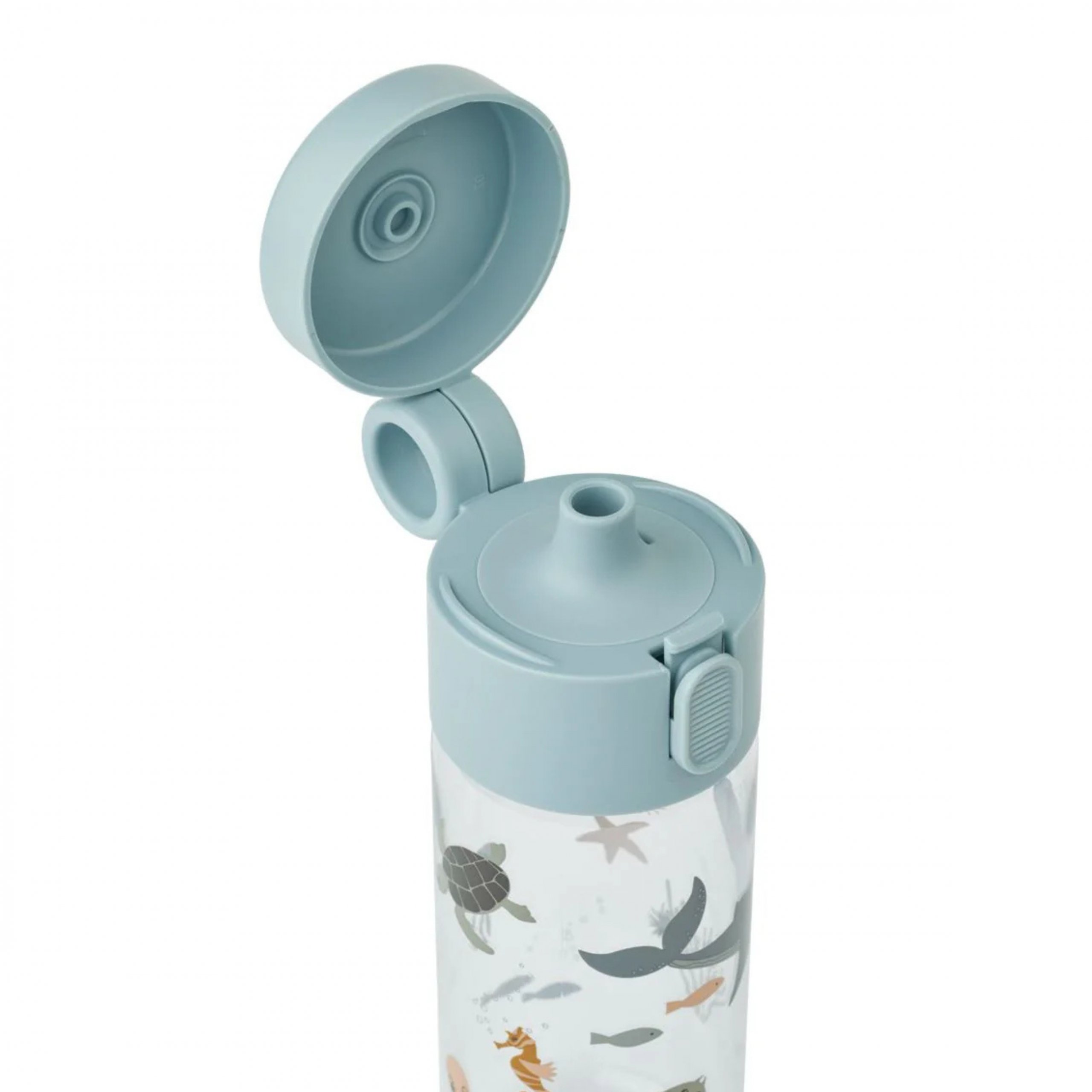 Gourde - Sea creature – Image 3