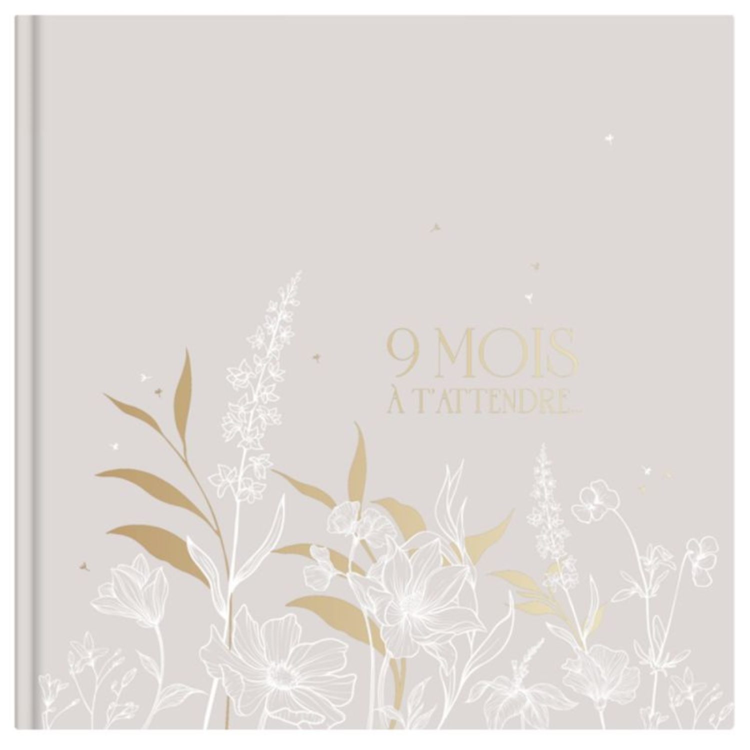 Livre de grossesse 9 mois à t'attendre