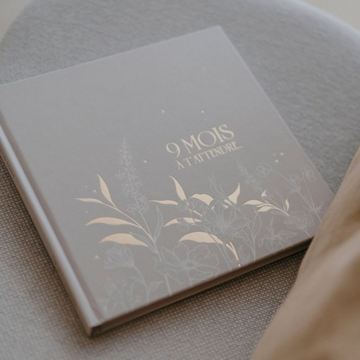 Livre de grossesse 9 mois à t'attendre – Image 2