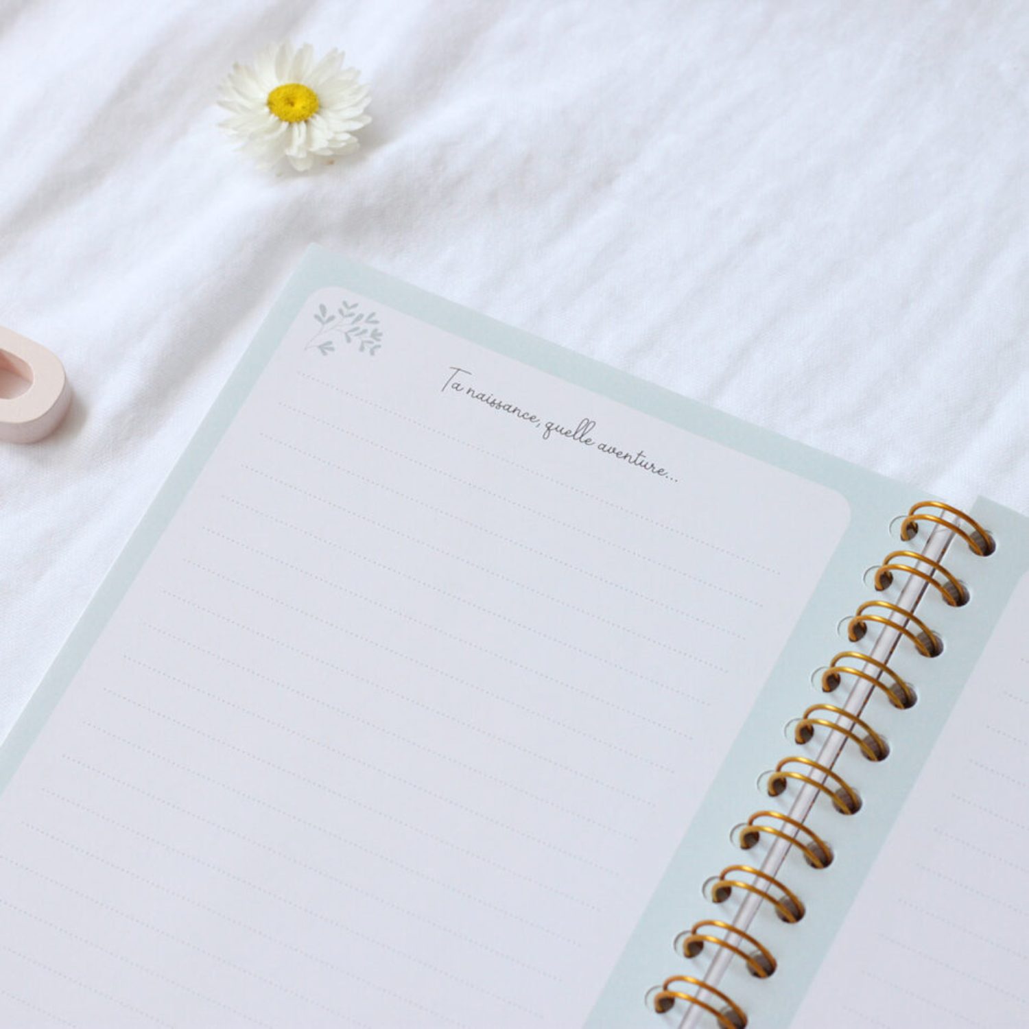 Carnet bébé : mon carnet des premiers jours – Image 4