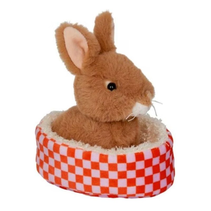 Lapin dans son panier